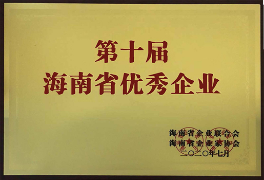 海南省优秀企业